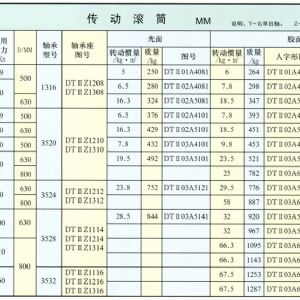 DTⅡ型傳動(dòng)滾筒