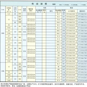 DTⅡ型傳動(dòng)滾筒